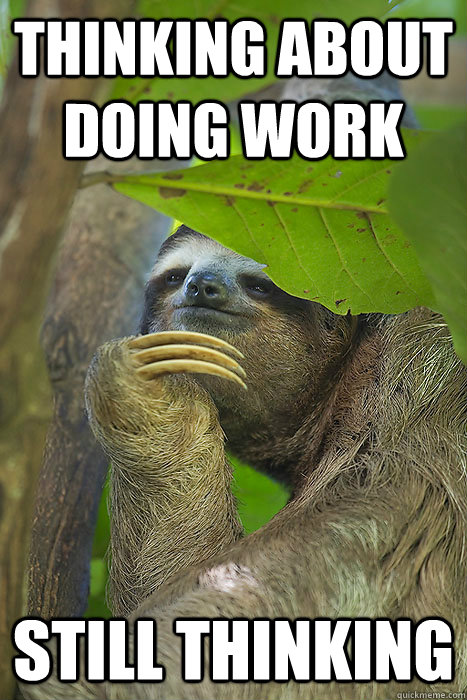 Thinking about doing work still thinking  Philososloth