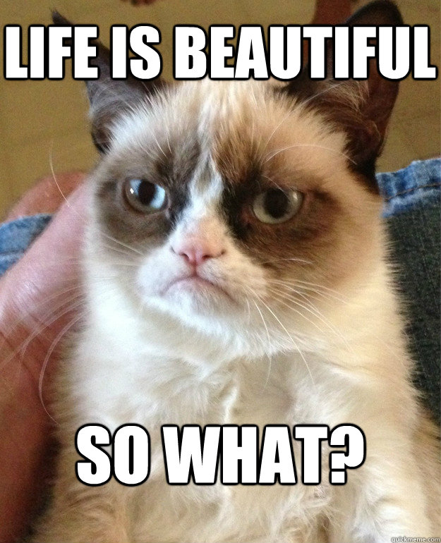 life is beautiful so what?  Grumpy Cat