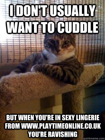 I don't usually want to cuddle but when you're in sexy lingerie from www.playtimeonline.co.uk you're ravishing  The Most Interesting Cat in the World