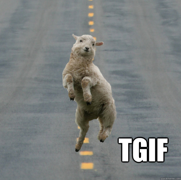  TGIF  