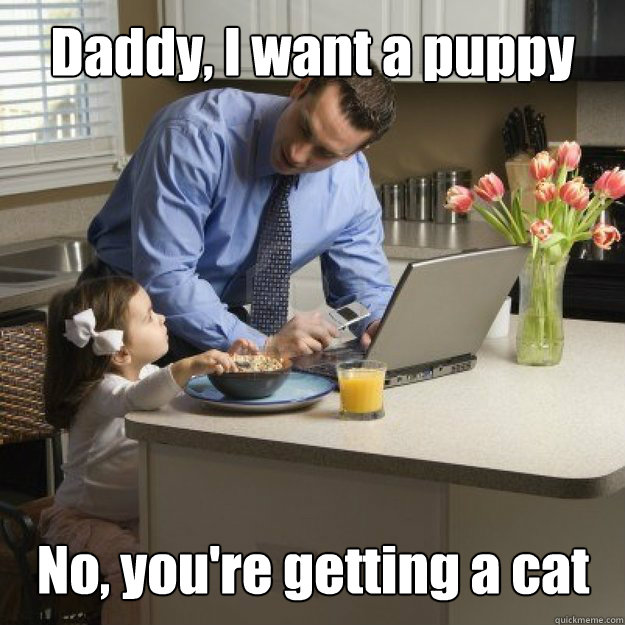 Daddy, I want a puppy No, you're getting a cat  Redditor father