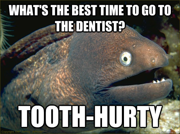 What's the best time to go to the dentist? Tooth-hurty  Bad Joke Eel