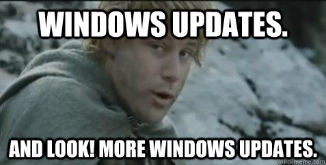 windows updates. And look! More windows updates. - windows updates. And look! More windows updates.  Misc
