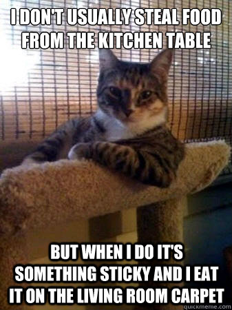 i don't usually steal food from the kitchen table but when i do it's something sticky and i eat it on the living room carpet  The Most Interesting Cat in the World