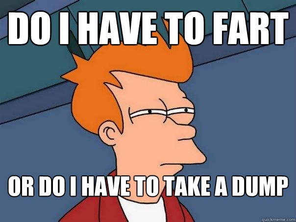 Do I have To fart  or do i have to take a dump  Futurama Fry