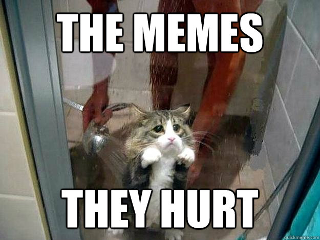 The memes they hurt  Shower kitty