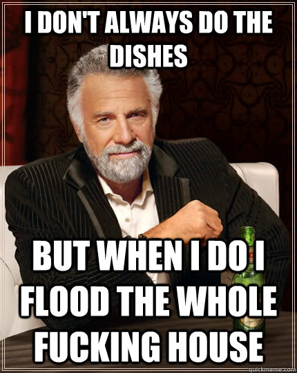 I don't always do the dishes but when I do I flood the whole fucking house  The Most Interesting Man In The World