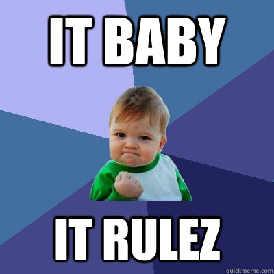 IT BABY IT RULEZ  Success Kid