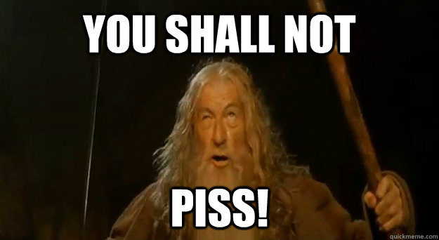 You Shall Not piss! - You Shall Not piss!  You Shall Not Pass Gandalf