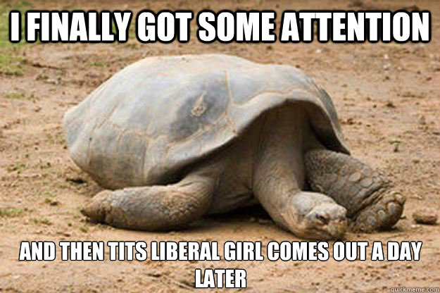i finally got some attention and then tits liberal girl comes out a day later - i finally got some attention and then tits liberal girl comes out a day later  Depression Turtle