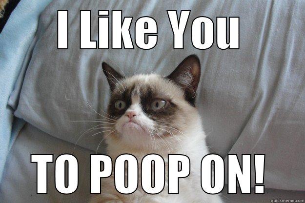 grumpy poops - I LIKE YOU TO POOP ON! Grumpy Cat
