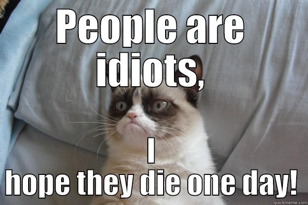 PEOPLE ARE IDIOTS, I HOPE THEY DIE ONE DAY! Grumpy Cat