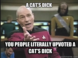 A cat's dick You people literally upvoted a cat's dick  Annoyed Picard