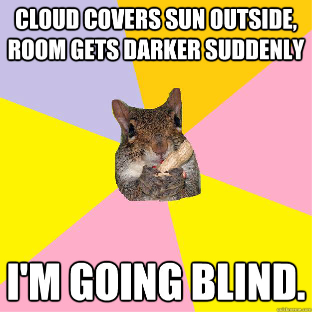 Cloud covers sun outside, room gets darker suddenly I'm going blind.  Hypochondriac Squirrel