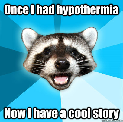 Once I had hypothermia Now I have a cool story - Once I had hypothermia Now I have a cool story  Lame Pun Coon