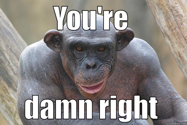 YOU'RE DAMN RIGHT The Most Interesting Chimp In The World