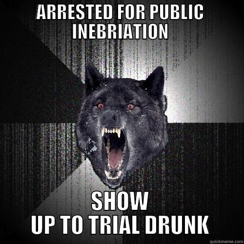 ARRESTED FOR PUBLIC INEBRIATION SHOW UP TO TRIAL DRUNK Insanity Wolf