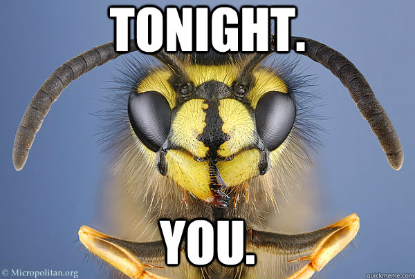 Tonight. You. - Tonight. You.  Vengeful Wasp