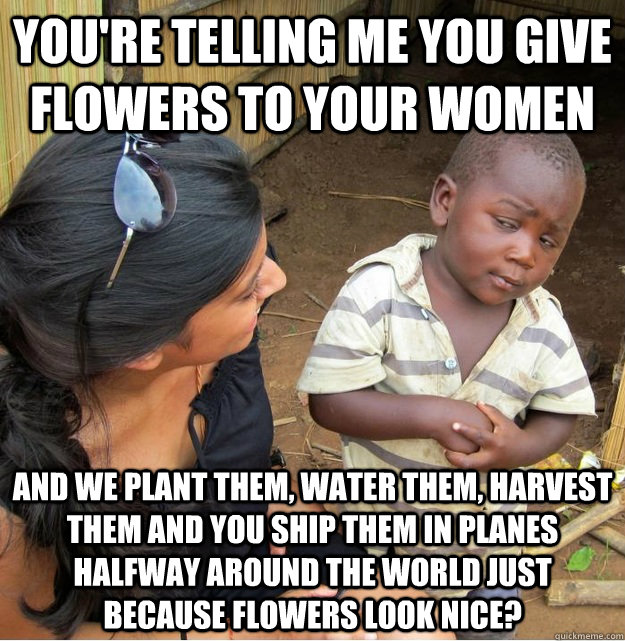 You're telling me you give flowers to your women And we Plant them, water them, harvest them and you ship them in planes halfway around the world just because flowers look nice?  Skeptical Third World Kid