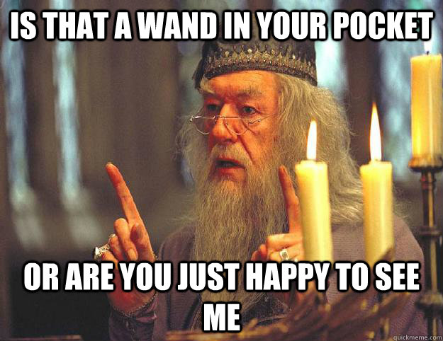 IS THAT A WAND IN YOUR POCKET OR ARE YOU JUST HAPPY TO SEE ME  Dumbledore