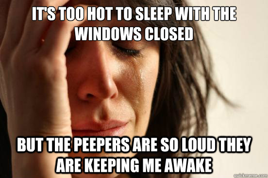 it's too hot to sleep with the windows closed but the peepers are so loud they are keeping me awake  First World Problems
