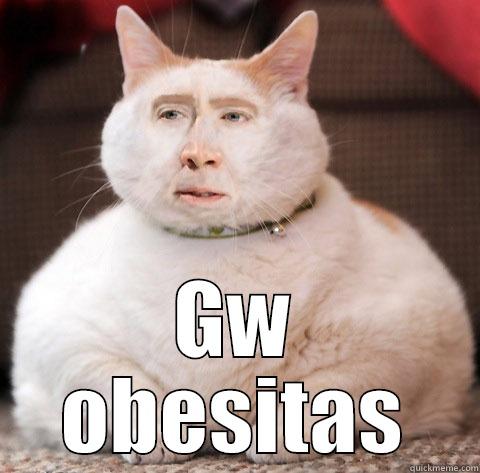 GW OBESITAS Misc