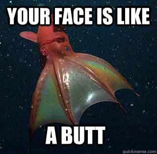 Your face is like a butt - Your face is like a butt  Bad Simile Squid