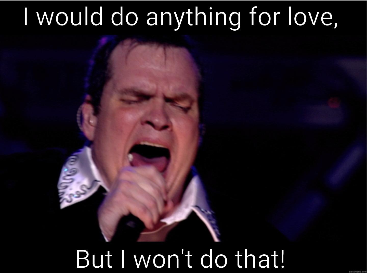Meatloaf love - I WOULD DO ANYTHING FOR LOVE, BUT I WON'T DO THAT! Misc