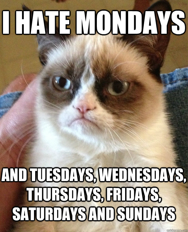 I hate Mondays and Tuesdays, wednesdays, thursdays, fridays, saturdays and sundays  Grumpy Cat