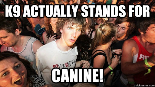 K9 actually stands for CANINE!  Sudden Clarity Clarence Neopet