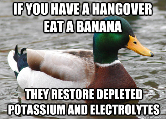 If you have a hangover eat a banana they restore depleted potassium and electrolytes   Actual Advice Mallard