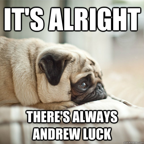 It's alright there's always andrew luck - It's alright there's always andrew luck  Sad Skyrim Puppy