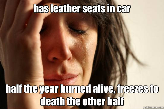 has leather seats in car half the year burned alive, freezes to death the other half - has leather seats in car half the year burned alive, freezes to death the other half  First World Problems