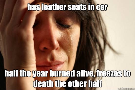 has leather seats in car half the year burned alive, freezes to death the other half - has leather seats in car half the year burned alive, freezes to death the other half  First World Problems