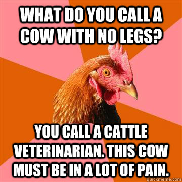 what do you call a cow with no legs? you call a cattle veterinarian. this cow must be in a lot of pain.  Anti-Joke Chicken