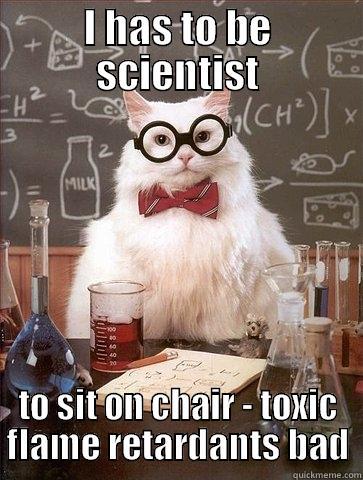 I HAS TO BE SCIENTIST TO SIT ON CHAIR - TOXIC FLAME RETARDANTS BAD Chemistry Cat
