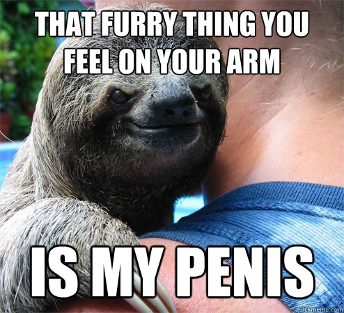 that furry thing you feel on your arm is my penis  Suspiciously Evil Sloth