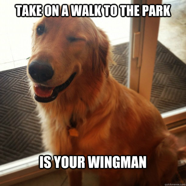 Take on a walk to the park is your wingman - Take on a walk to the park is your wingman  Mans Best Friend