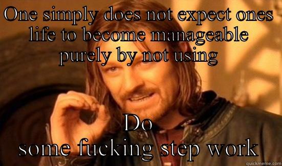 ONE SIMPLY DOES NOT EXPECT ONES LIFE TO BECOME MANAGEABLE PURELY BY NOT USING DO SOME FUCKING STEP WORK Boromir