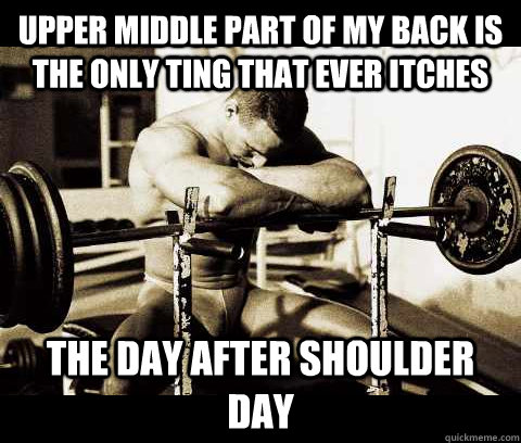 Upper middle part of my back is the only ting that ever itches The day after shoulder day - Upper middle part of my back is the only ting that ever itches The day after shoulder day  Bodybuilder Problems