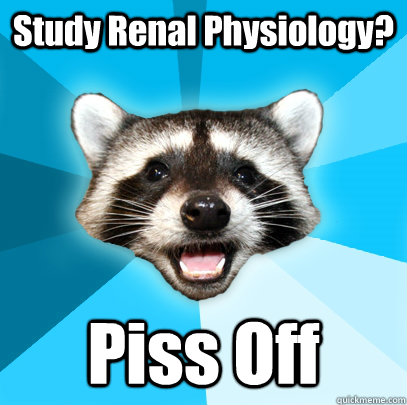Study Renal Physiology? Piss Off  Lame Pun Coon