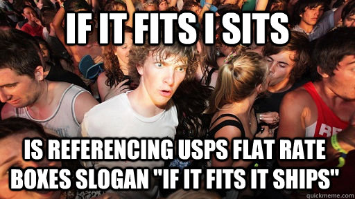 If it fits i sits Is referencing usps flat rate boxes slogan 