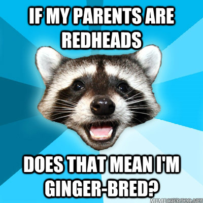 if my parents are redheads does that mean i'm ginger-bred?  Lame Pun Raccoon