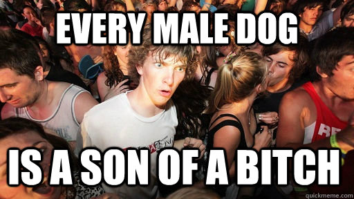 Every male dog is a son of a bitch  Sudden Clarity Clarence