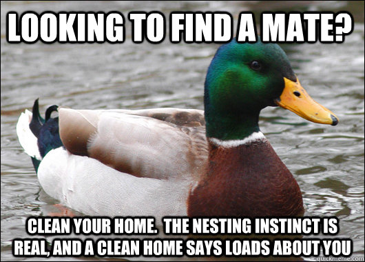 Looking to find a mate? Clean your home.  The nesting instinct is real, and a clean home says loads about you  Actual Advice Mallard
