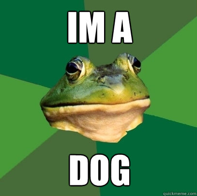 im a dog  Foul Bachelor Frog
