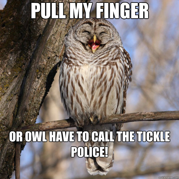 pull my finger or owl have to call the tickle police!  