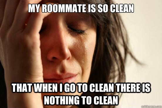 My roommate is so clean that when I go to clean there is nothing to clean  First World Problems