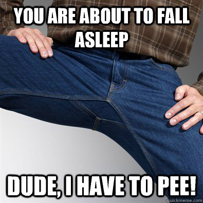You are about to fall asleep Dude, I have to pee! - You are about to fall asleep Dude, I have to pee!  Scumbag Penis