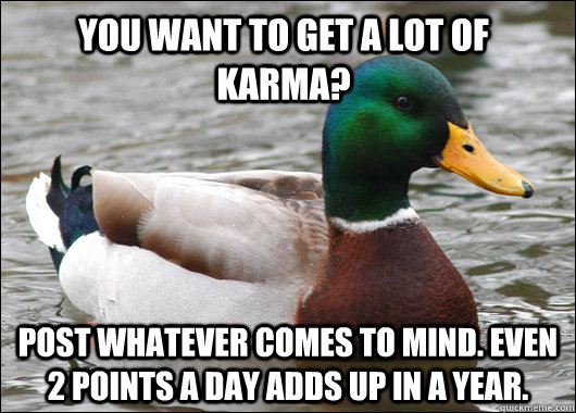 You want to get a lot of karma? Post whatever comes to mind. Even 2 points a day adds up in a year.  Actual Advice Mallard